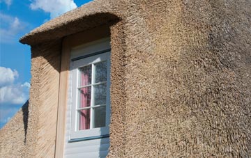 Crapstone thatch roof disadvantages
